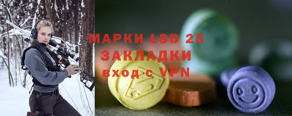 прущий лед Алзамай