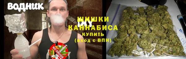 тгк Абаза